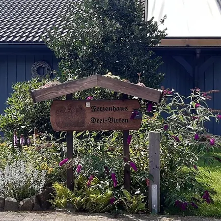 Holiday home Drei Birken *