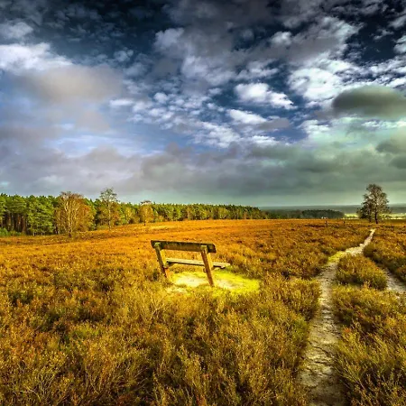 Drei Birken * Faßberg